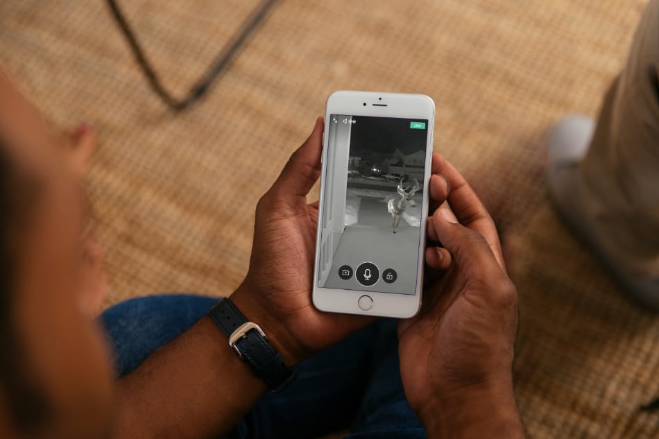 Bella Vista AR security system